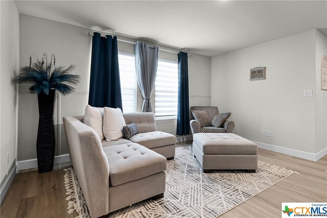 living room with light hardwood / wood-style floors