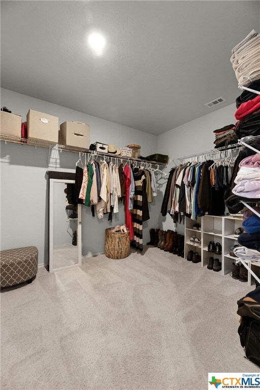 walk in closet with carpet