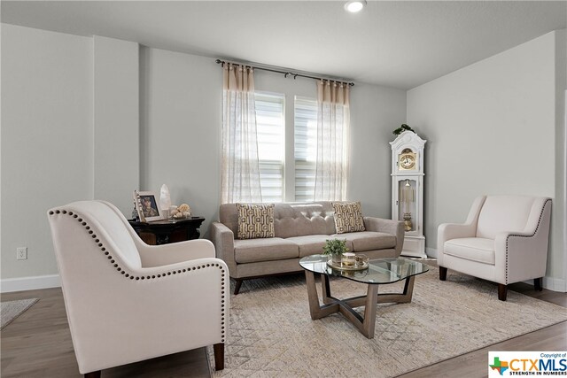 living room with wood-type flooring