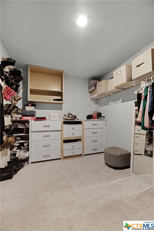 spacious closet featuring light colored carpet