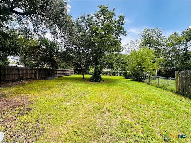207 Schrimsher St, Yoakum, TX 77995 - view of fenced backyard