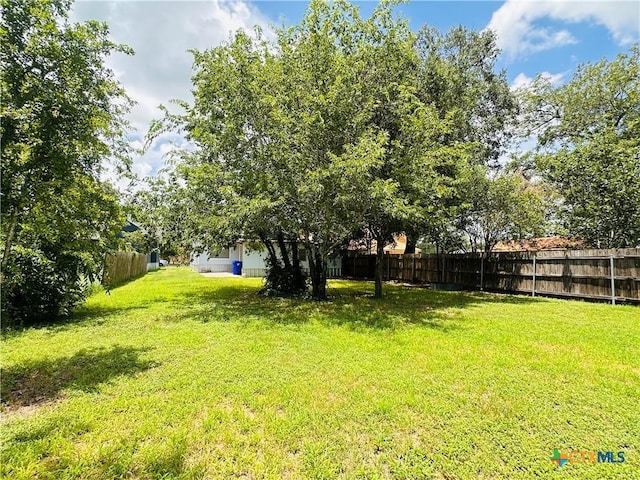207 Schrimsher St, Yoakum, TX 77995 - view of yard