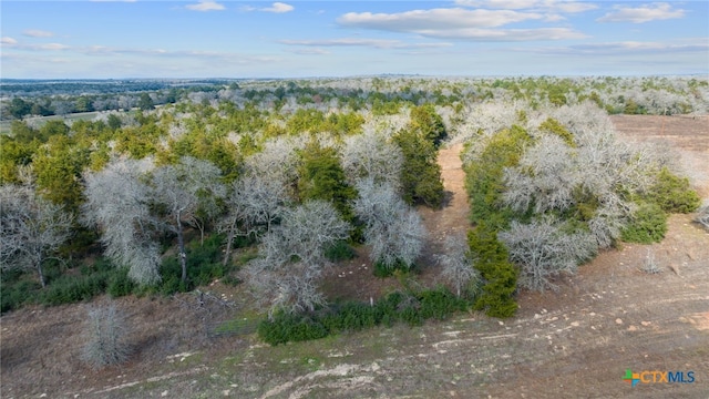 16945 Fm 713, Rosanky TX, 78953 land for sale