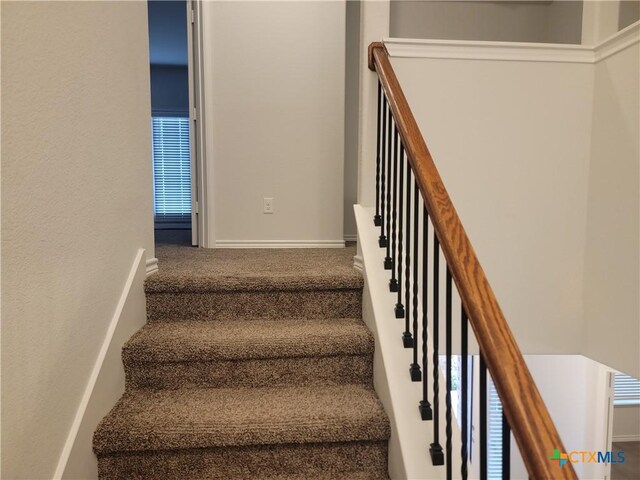 stairway featuring carpet flooring and baseboards