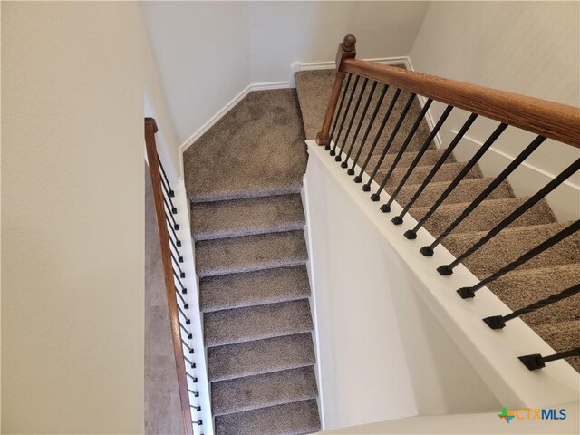 staircase with baseboards and carpet