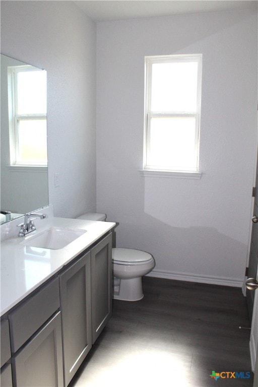 bathroom featuring vanity, toilet, and wood-type flooring