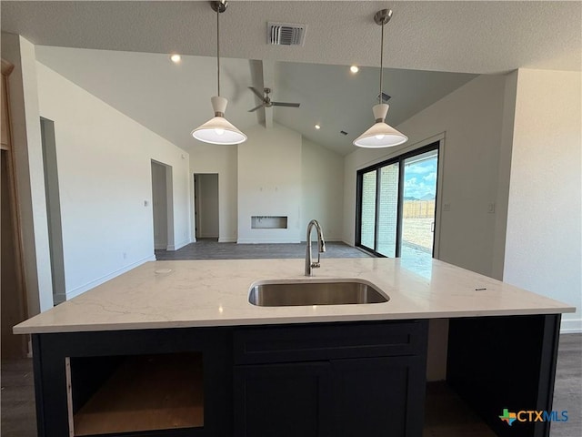 4018 Prairie Dr, Nolanville, TX 76559 - kitchen with lofted ceiling, open floor plan, an island with sink, ceiling fan, and dark cabinetry