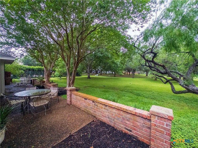 view of green lawn featuring a patio area