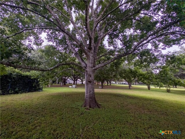 view of green lawn