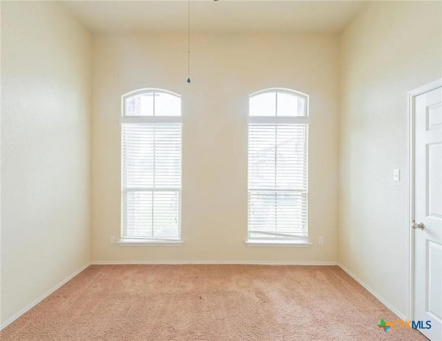 1126 Daffodil Dr, Temple, TX 76502 - photo 14
