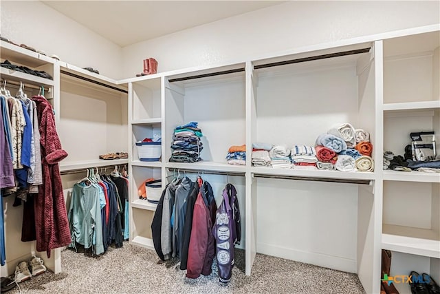 8508 Mount Nebo Cir, Belton, TX 76513 - walk in closet featuring carpet