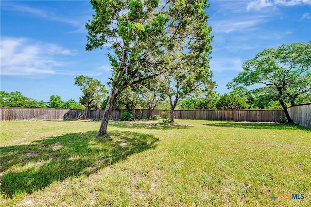 8508 Mount Nebo Cir, Belton, TX 76513 - view of yard