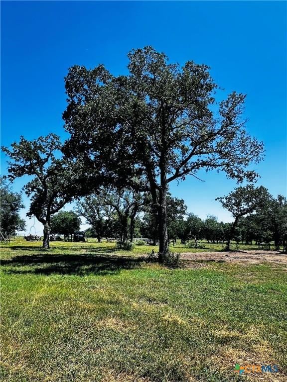 600 Rice Davis Rd, Yoakum, TX 77995 - photo 32