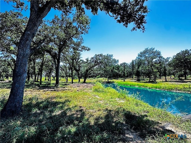 600 Rice Davis Rd, Yoakum, TX 77995 - photo 30