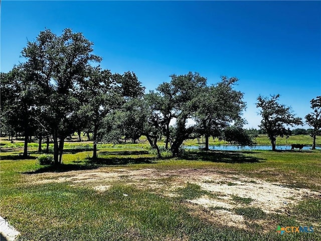 600 Rice Davis Rd, Yoakum, TX 77995 - photo 27