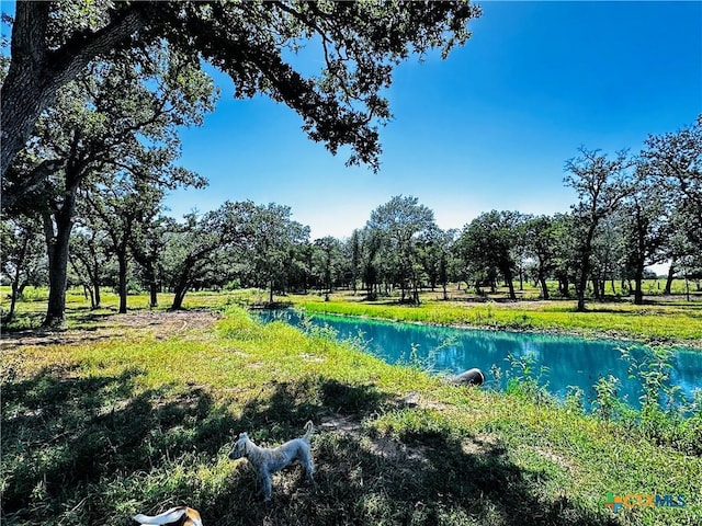 600 Rice Davis Rd, Yoakum, TX 77995 - photo 29
