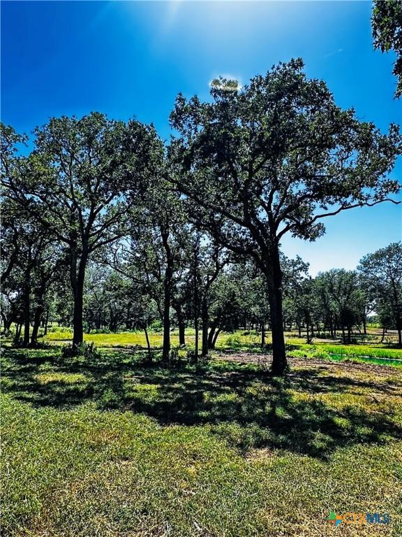 600 Rice Davis Rd, Yoakum, TX 77995 - photo 33