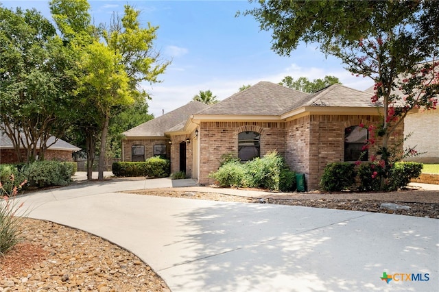 217 Ciela Vis, Seguin, TX 78155 - french country style house featuring brick siding, concrete driveway, and roof with shingles