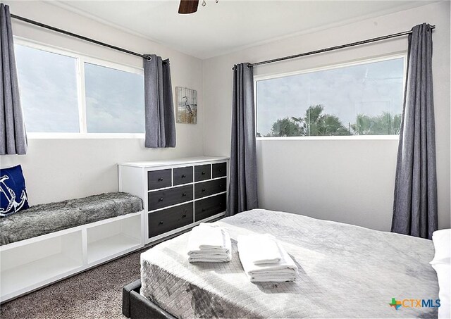1265 N Ocean Dr, Port Lavaca, TX 77979 - bedroom with carpet flooring and a ceiling fan