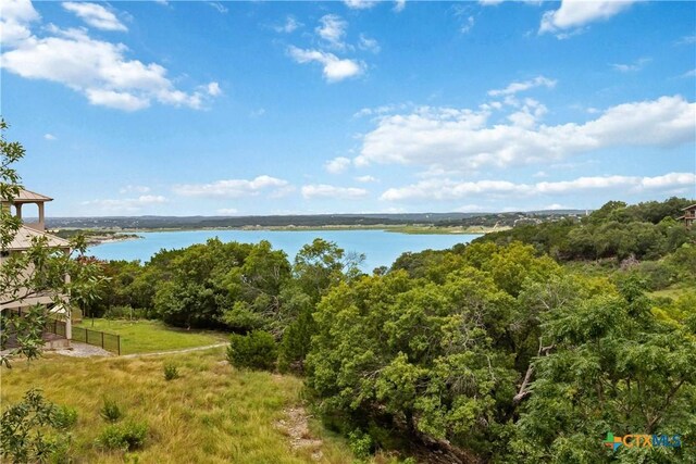 1115 Riviera Dr, Canyon Lake, TX 78133 - photo 40