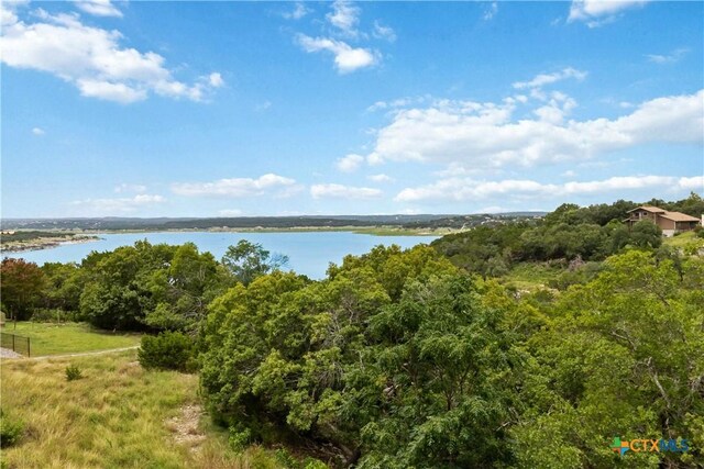 1115 Riviera Dr, Canyon Lake, TX 78133 - photo 41
