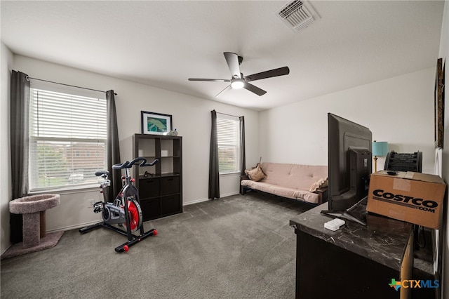 3946 Legend Pond, New Braunfels, TX 78130 - office space featuring a ceiling fan and carpet