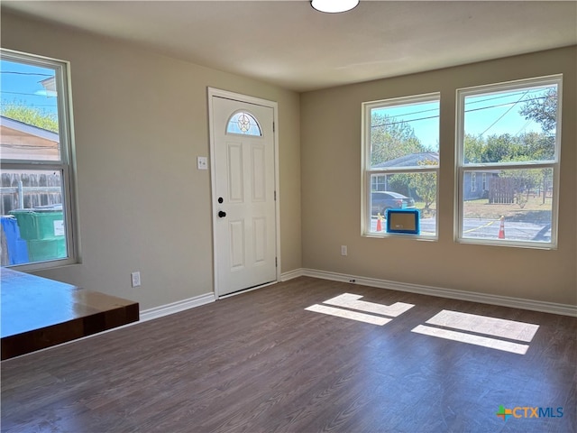 entryway featuring dark wood-type flooring