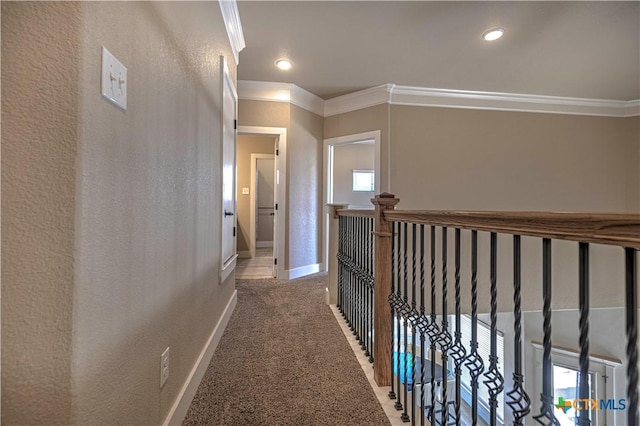 hall featuring carpet flooring and crown molding