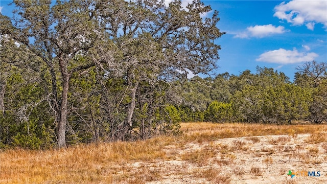 1949 Paradise Pkwy, Canyon Lake TX, 78133 land for sale