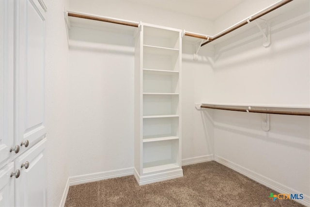 spacious closet with light carpet