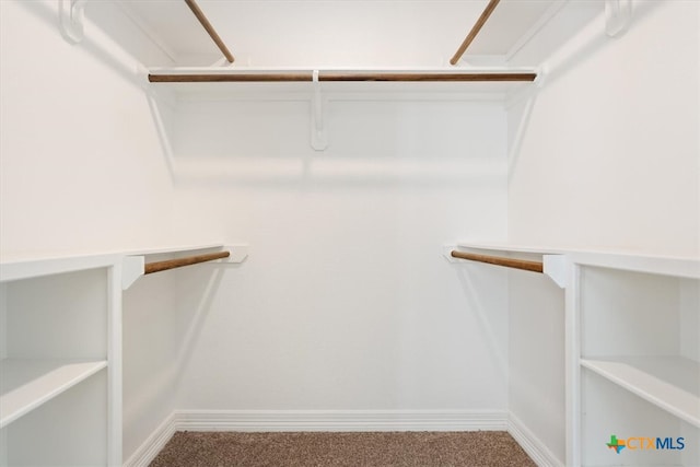 spacious closet featuring carpet flooring