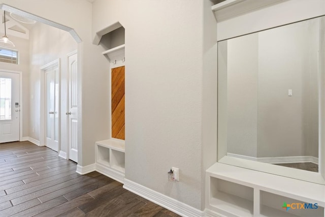 mudroom featuring dark wood-type flooring