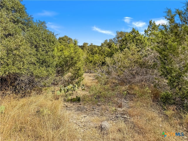 1447 Carson Crk, Canyon Lake TX, 78133 land for sale