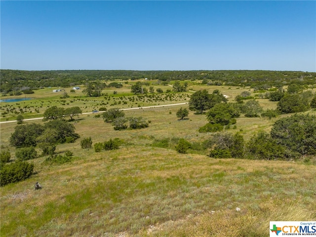 TBD Bear Branch Rd, Purmela TX, 76566 land for sale