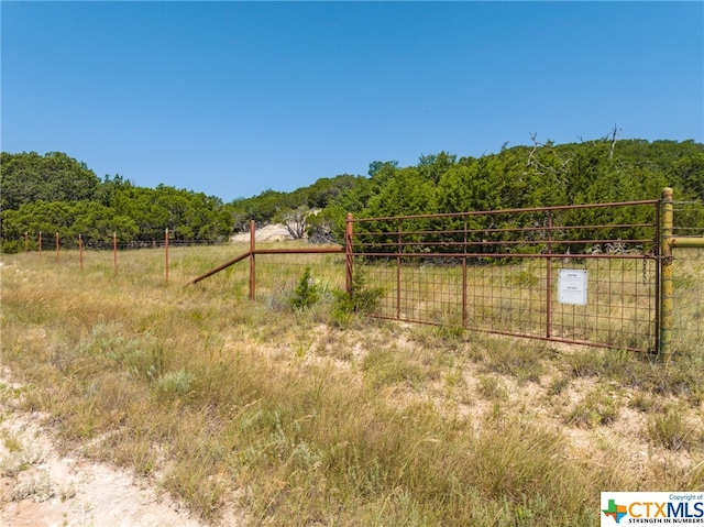 Listing photo 3 for TBD Bear Branch Rd, Purmela TX 76566