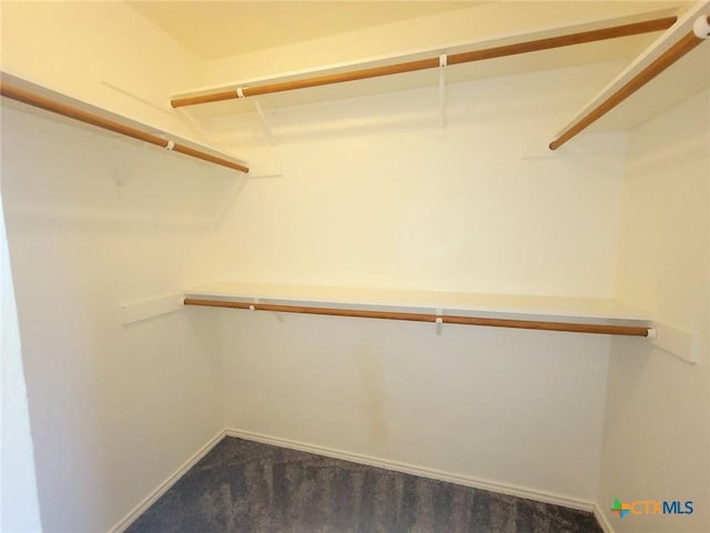 2810 Scottsdale Dr, Killeen, TX 76543 - walk in closet featuring dark colored carpet