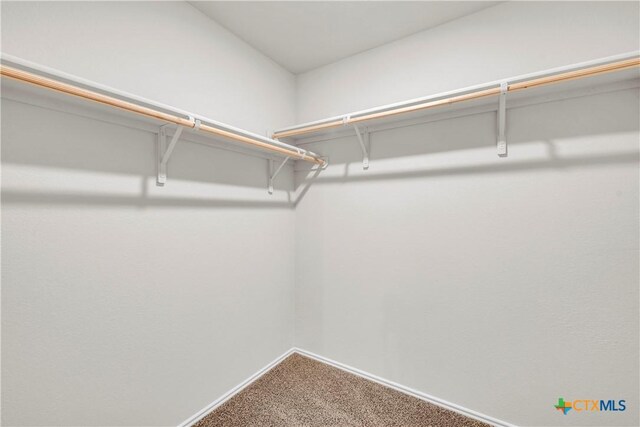 2358 Aylesbury Dr, Copperas Cove, TX 76522 - walk in closet featuring carpet