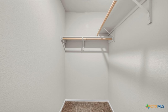 2358 Aylesbury Dr, Copperas Cove, TX 76522 - walk in closet with carpet flooring