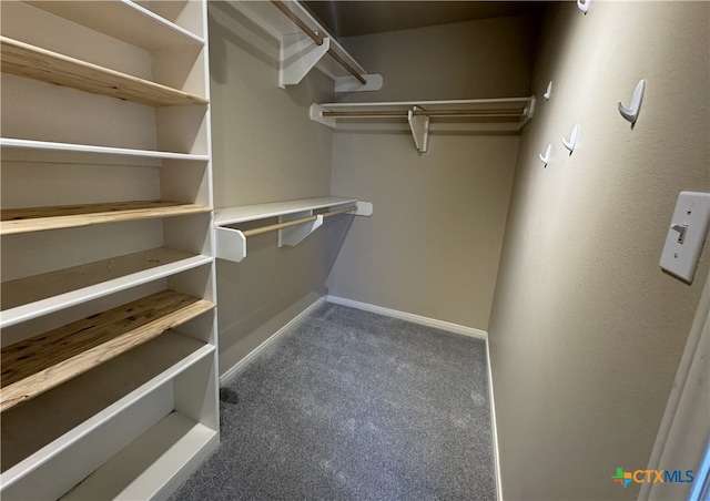 spacious closet with carpet flooring