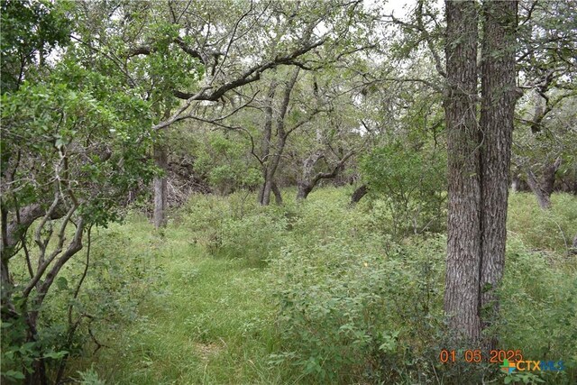 2315 Haven Bluff Ct, New Braunfels, TX 78132 - photo 10