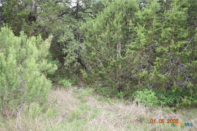 2315 Haven Bluff Ct, New Braunfels, TX 78132 - photo 23