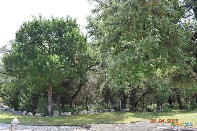 2315 Haven Bluff Ct, New Braunfels, TX 78132