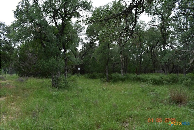 2315 Haven Bluff Ct, New Braunfels, TX 78132