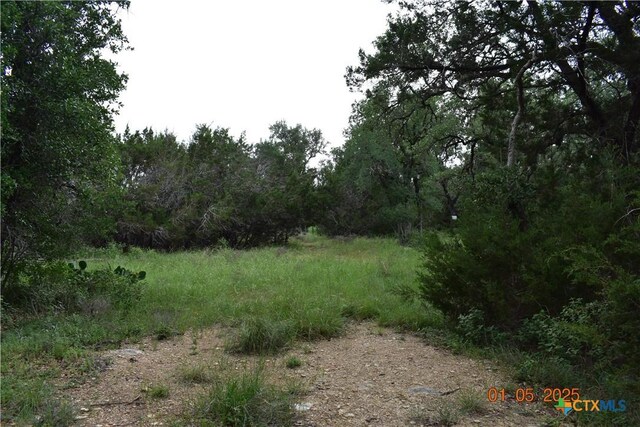 2315 Haven Bluff Ct, New Braunfels, TX 78132 - photo 1