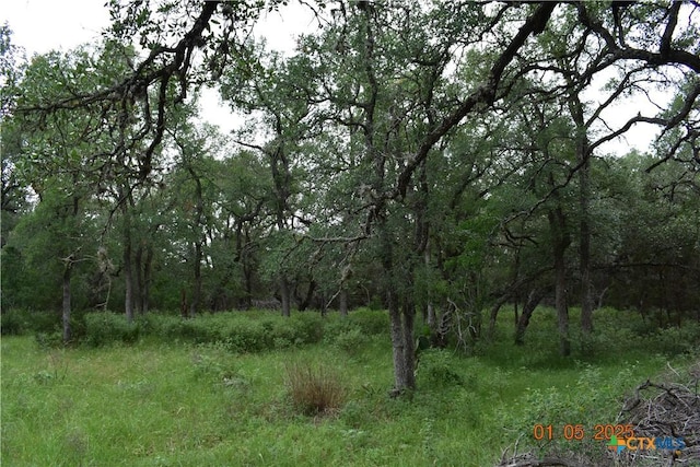 2315 Haven Bluff Ct, New Braunfels, TX 78132