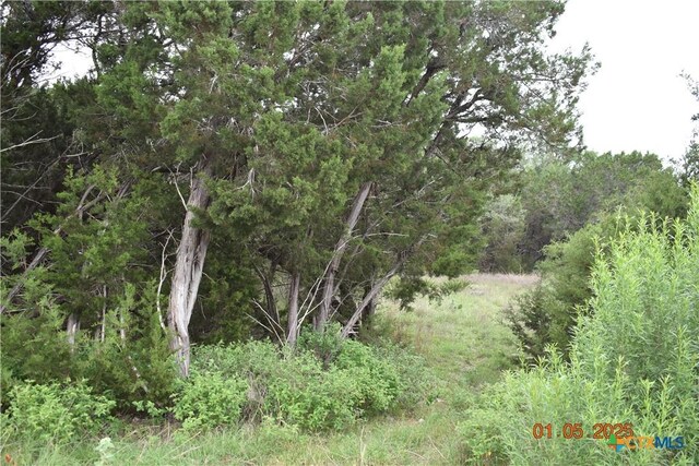 2315 Haven Bluff Ct, New Braunfels, TX 78132 - photo 21
