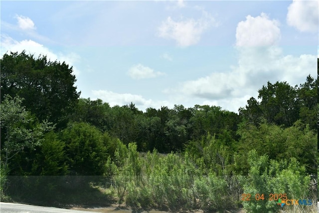 2315 Haven Bluff Ct, New Braunfels, TX 78132