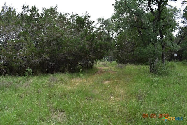 2315 Haven Bluff Ct, New Braunfels, TX 78132