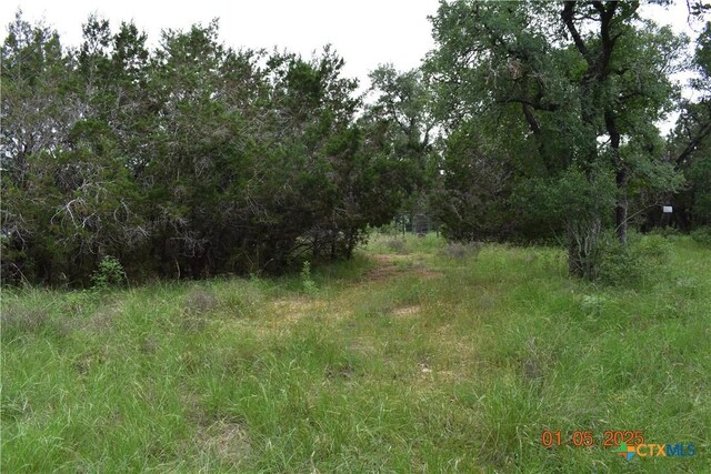 2315 Haven Bluff Ct, New Braunfels, TX 78132 - photo 5