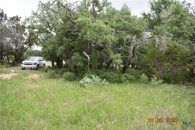 2315 Haven Bluff Ct, New Braunfels, TX 78132 - photo 12
